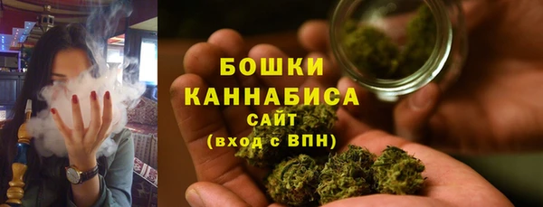 mdpv Бородино