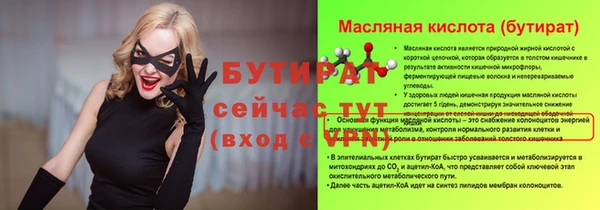 mdpv Бородино
