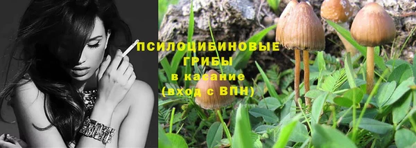 mdpv Бородино