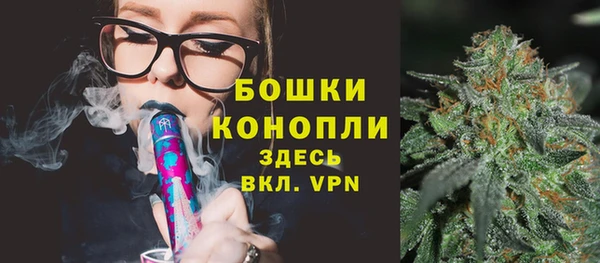 стафф Бронницы